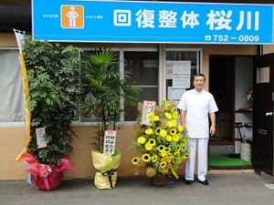 回復整体 桜川の雰囲気01